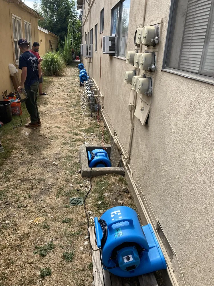 Professional mold remediation and removal technician in protective gear inspecting a home for mold contamination