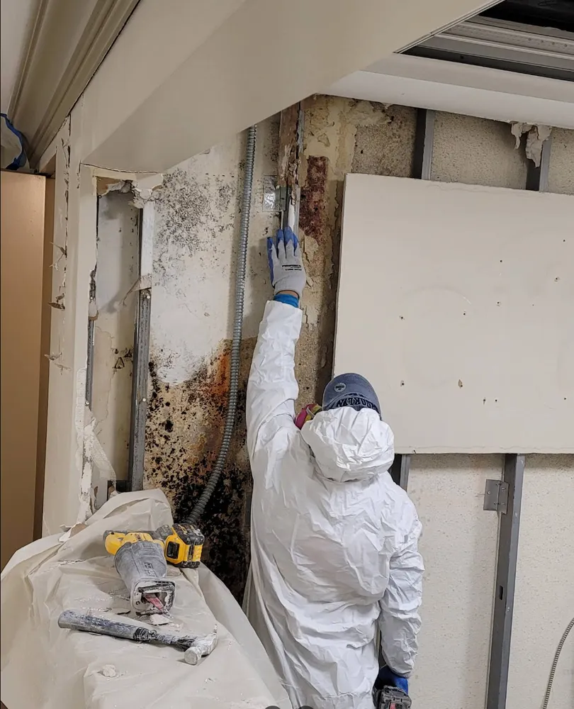 Water damage cleanup and restoration service in San Jacinto CA 92583 with professional equipment