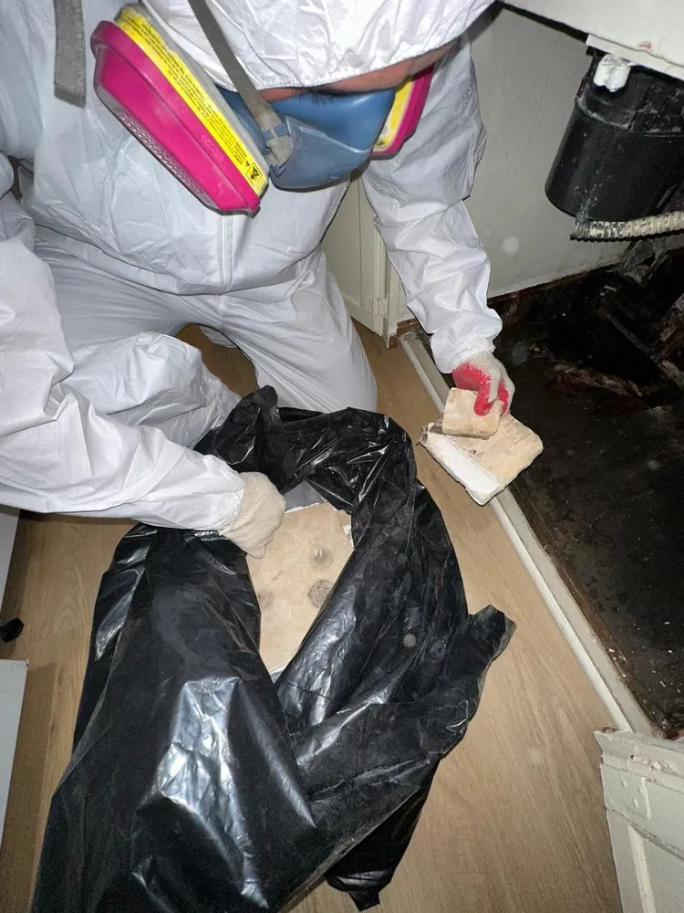 Water damage restoration service in Hemet CA 92543 with professional water extraction and drying equipment